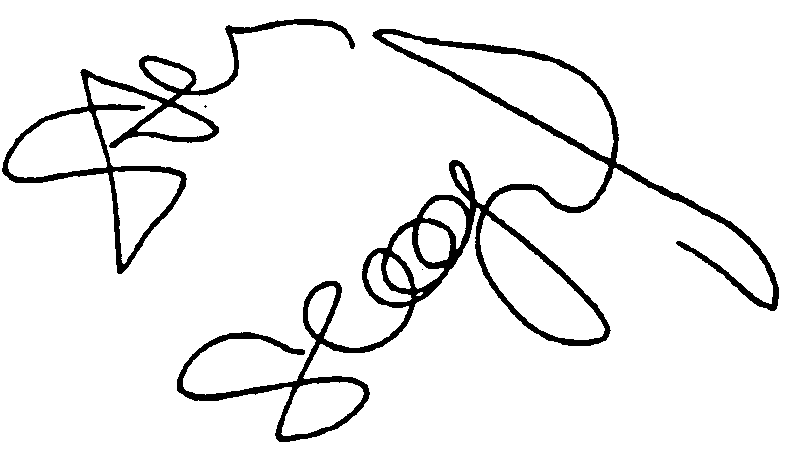 Steven Seagal autograph facsimile