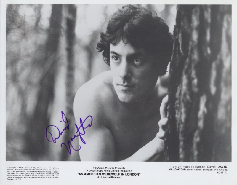 David Naughton autograph, item FP630323