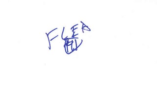 Flea autograph