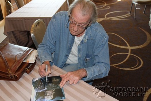 David Warner autograph