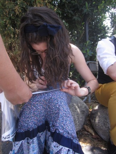 Morgan Taylor Campbell autograph