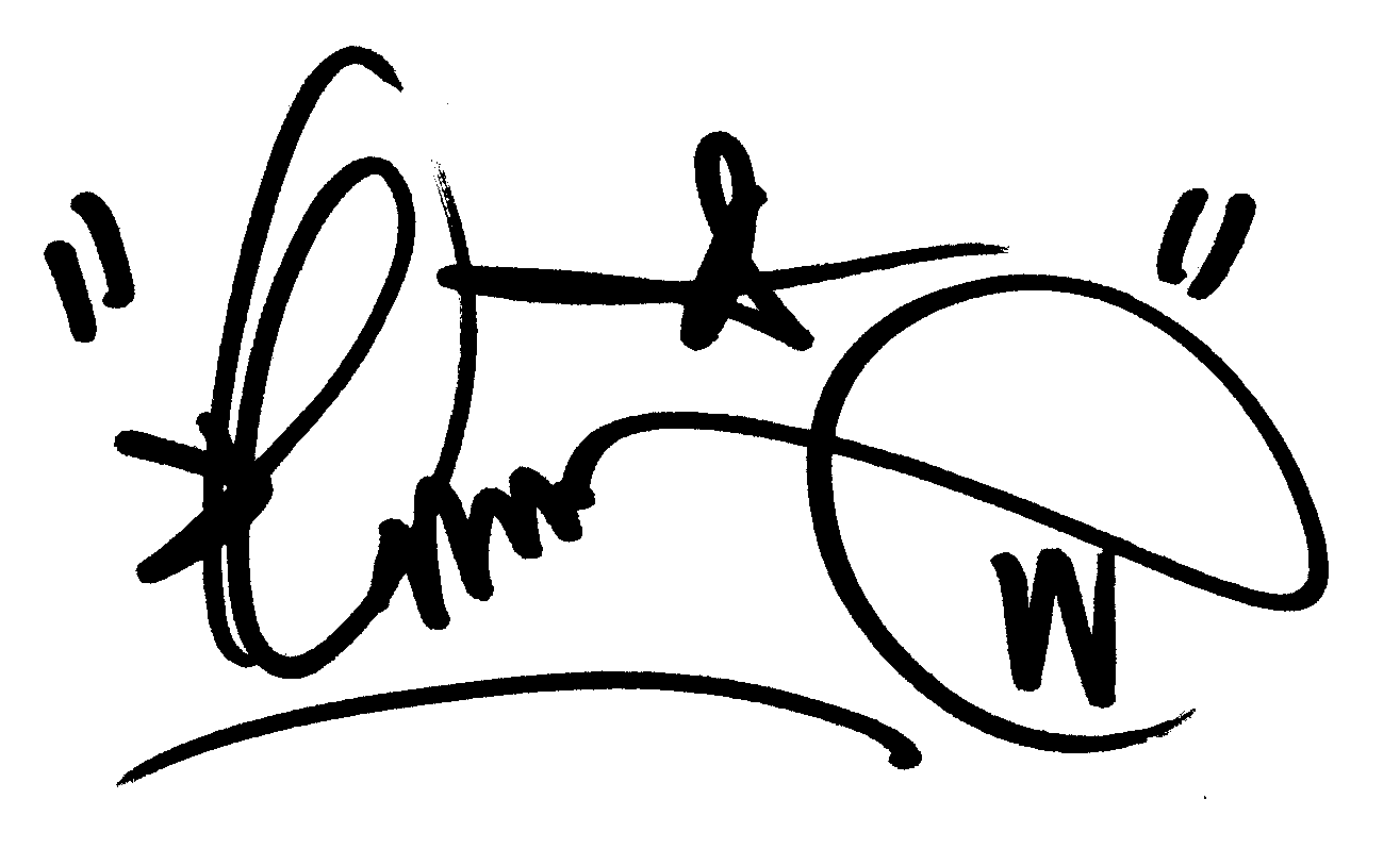 Donnie Wahlberg autograph facsimile